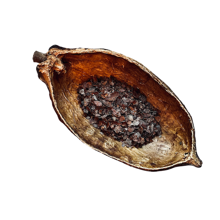 Infusion de cacao